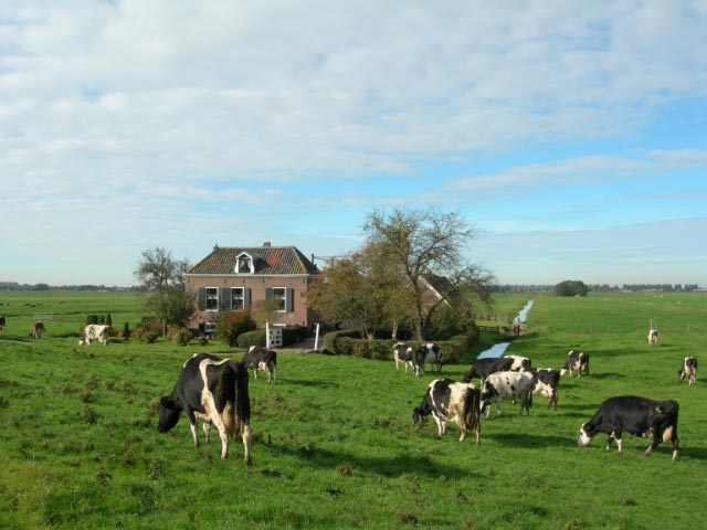 Bij Nes aan de Amstel
